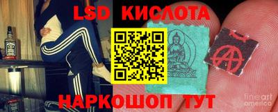 a pvp Краснодар