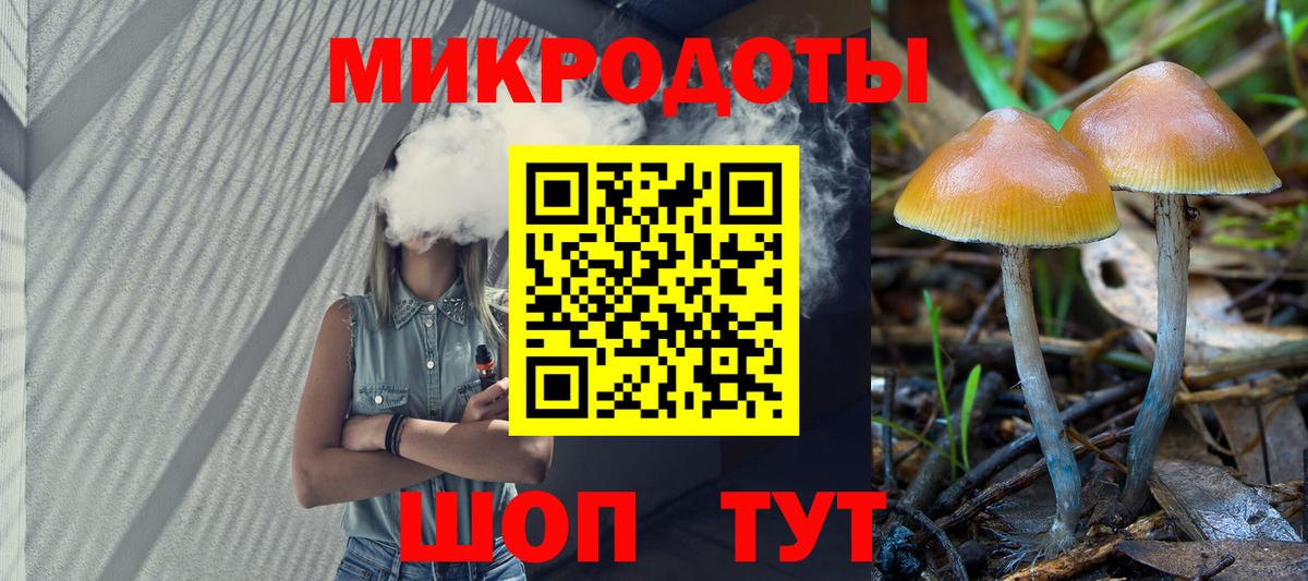 Галлюциногенные грибы Psilocybine cubensis Кизляр