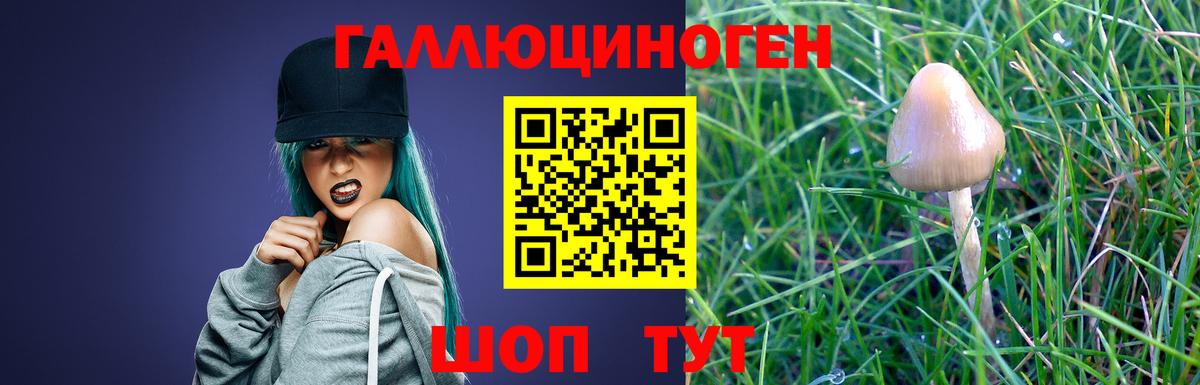 Кизляр  Галлюциногенные грибы Psilocybe  Вход с VPN  Галлюциногенные грибы мицелий 